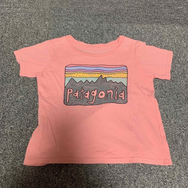 patagonia(パタゴニア)のパタゴニア Tシャツ 2枚セット キッズ/ベビー/マタニティのキッズ服女の子用(90cm~)(Tシャツ/カットソー)の商品写真