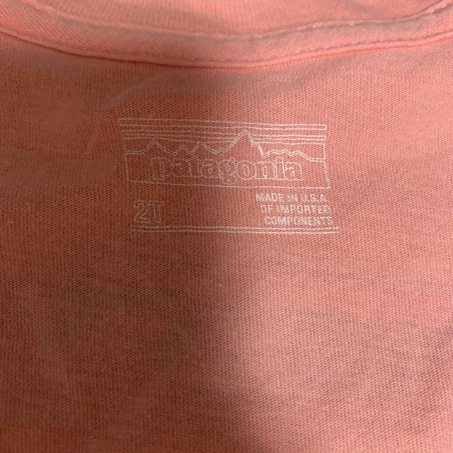 patagonia(パタゴニア)のパタゴニア Tシャツ 2枚セット キッズ/ベビー/マタニティのキッズ服女の子用(90cm~)(Tシャツ/カットソー)の商品写真