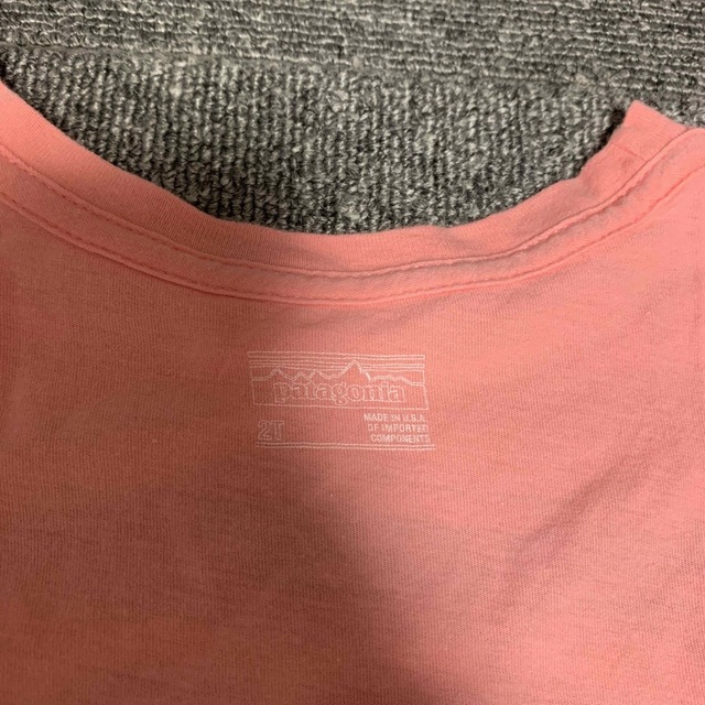 patagonia(パタゴニア)のパタゴニア Tシャツ 2枚セット キッズ/ベビー/マタニティのキッズ服女の子用(90cm~)(Tシャツ/カットソー)の商品写真