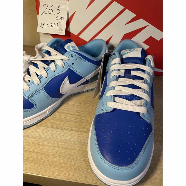 アルゴン Nike Dunk Low Retro QS Argon 2022 【全商品オープニング