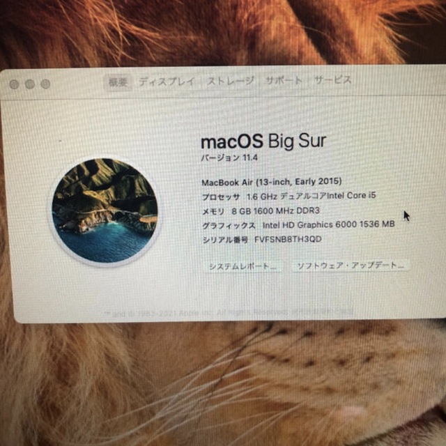MacBook Air 13-inch,Early 2015