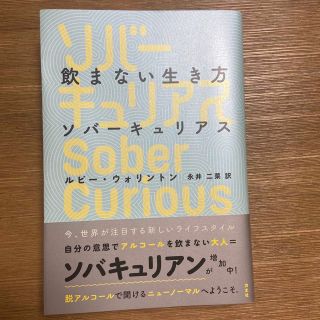 飲まない生き方ソバーキュリアス(文学/小説)