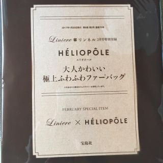 エリオポール(heliopole)のリンネル2月号付録 HELIOPOLEエリオポール ファーバッグ(ハンドバッグ)