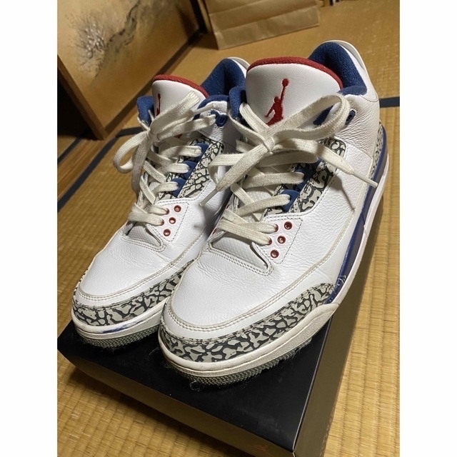 JORDAN 3(ジョーダン3) 28㌢(10)