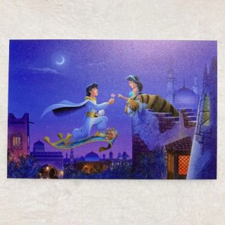 ディズニー(Disney)のディズニーシー　アラジン　ポストカード(使用済み切手/官製はがき)