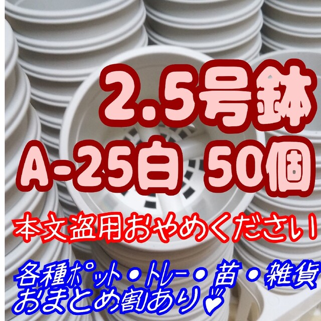 プラ鉢2.5号鉢【A-25】50個 スリット鉢 丸 プレステラ 多肉植物 ハンドメイドのフラワー/ガーデン(プランター)の商品写真