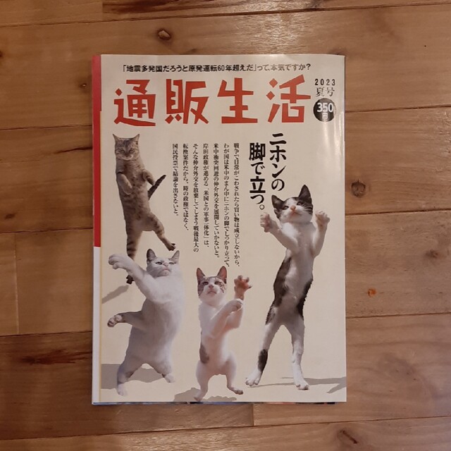 通販生活　2023年夏号 エンタメ/ホビーの雑誌(生活/健康)の商品写真