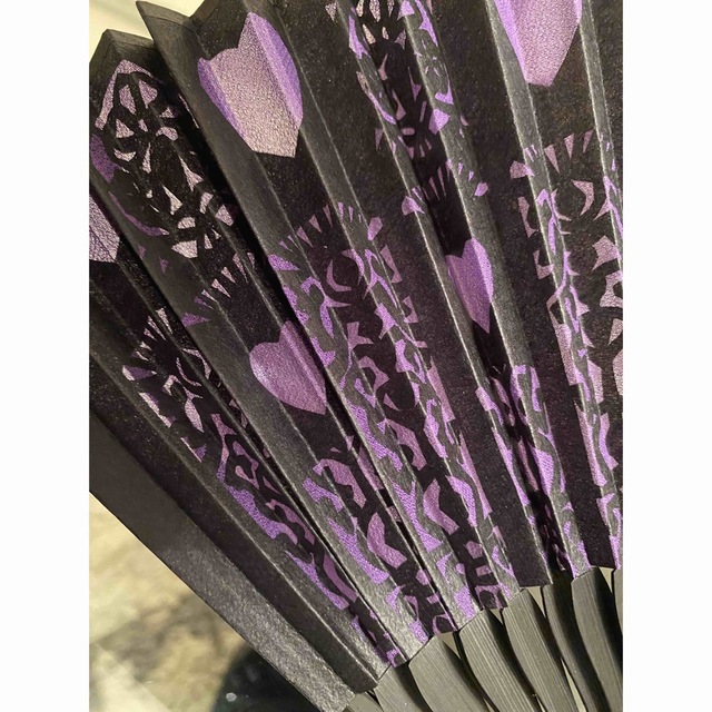 アナスイ　ANNA  SUI  扇子　センス　ケース付き　美品☆