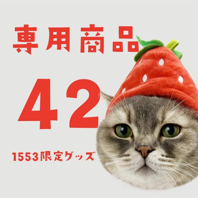 1周年記念グッズ42