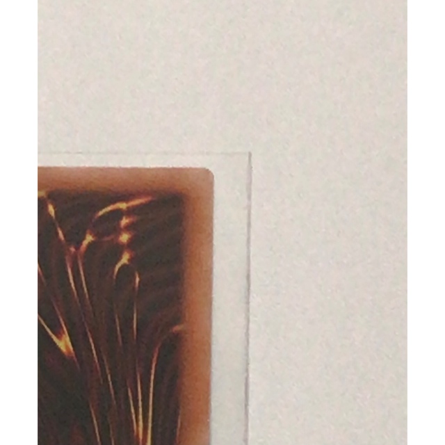 KONAMI(コナミ)の遊戯王　スモール・ワールド　25th エンタメ/ホビーのトレーディングカード(シングルカード)の商品写真