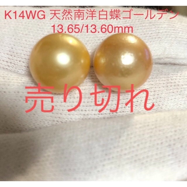K14WG 天然南洋白蝶ゴールデン真珠　丸系ピアス　13.65/13.6mm