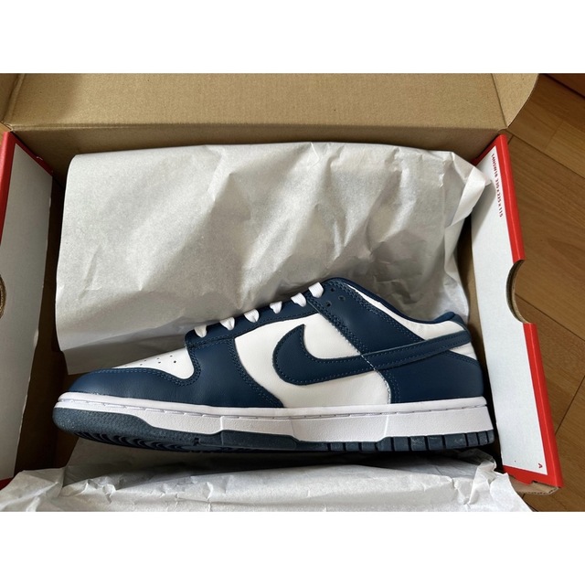 sbNIKE DUNK LOW RETRO バレリアン ブルー 28