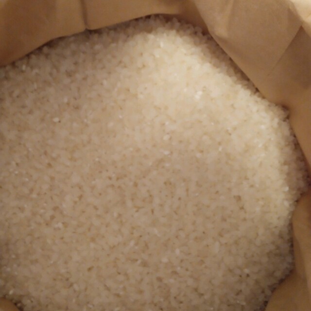 令和4年産特一等米コシヒカリ30キロ玄米無農薬にて作り上げた自慢のお米になります　米/穀物