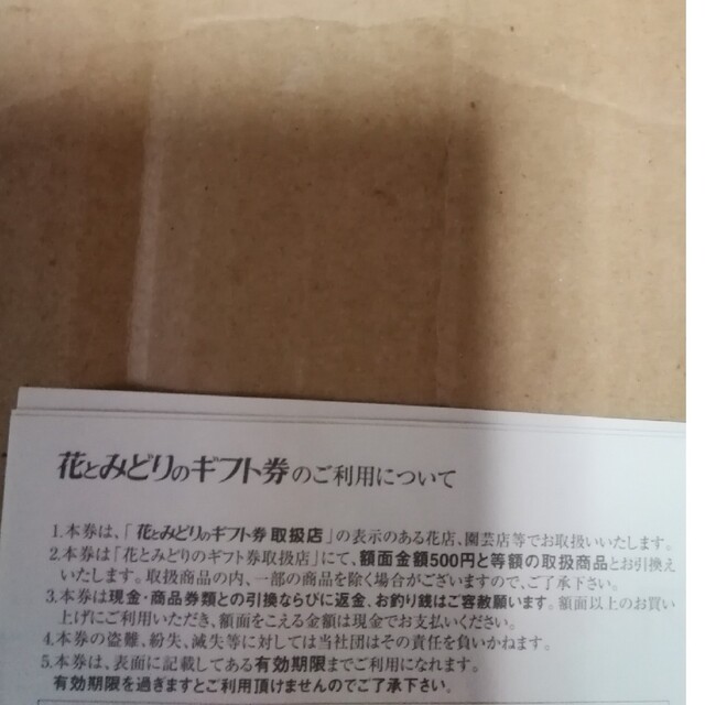 花とみどりのギフト券 10000円分 有効期限 すべて2026年12月31日まで