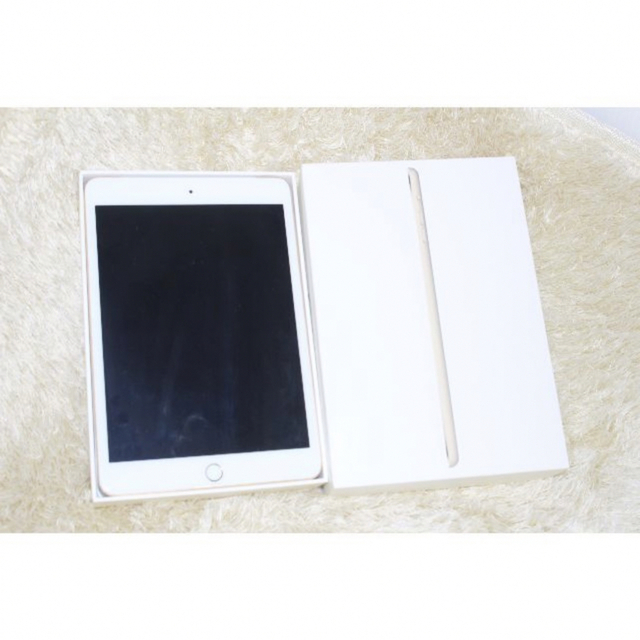 【完動美品】iPad mini3 64GB Cellular docomo 1