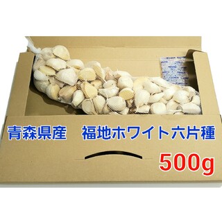 令和4年度　青森県産　500g　にんにく　ニンニク　福地ホワイト六片(野菜)