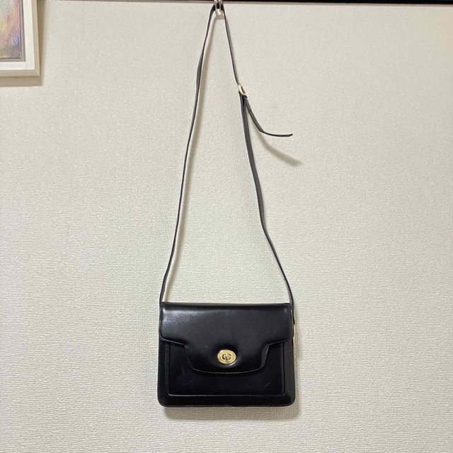 louise fontaine bag