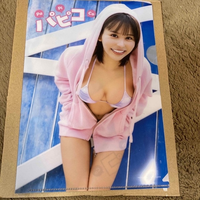 パピコ　両面プリント　クリアファイル エンタメ/ホビーのタレントグッズ(アイドルグッズ)の商品写真