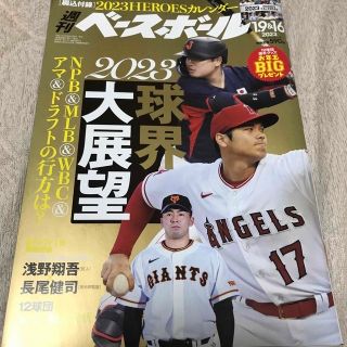 ヨコハマディーエヌエーベイスターズ(横浜DeNAベイスターズ)の週刊 ベースボール 2023年 1/16号(趣味/スポーツ)