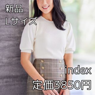 インデックス(INDEX)の3346⭐︎index⭐︎パターンブロッキングタックスリーブニット(カットソー(長袖/七分))