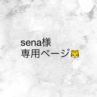 sena様専用ページ(その他)