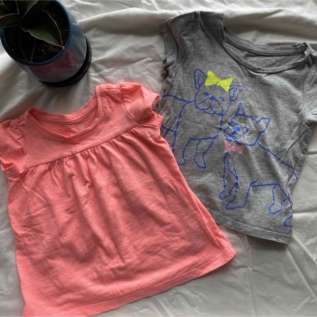 babyGAP(ベビーギャップ)のGAP 半袖 2枚セット キッズ/ベビー/マタニティのキッズ服女の子用(90cm~)(Tシャツ/カットソー)の商品写真