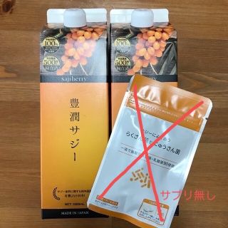 フィネス(Finess)の新品 豊潤サジー 1000ml 2本 (その他)