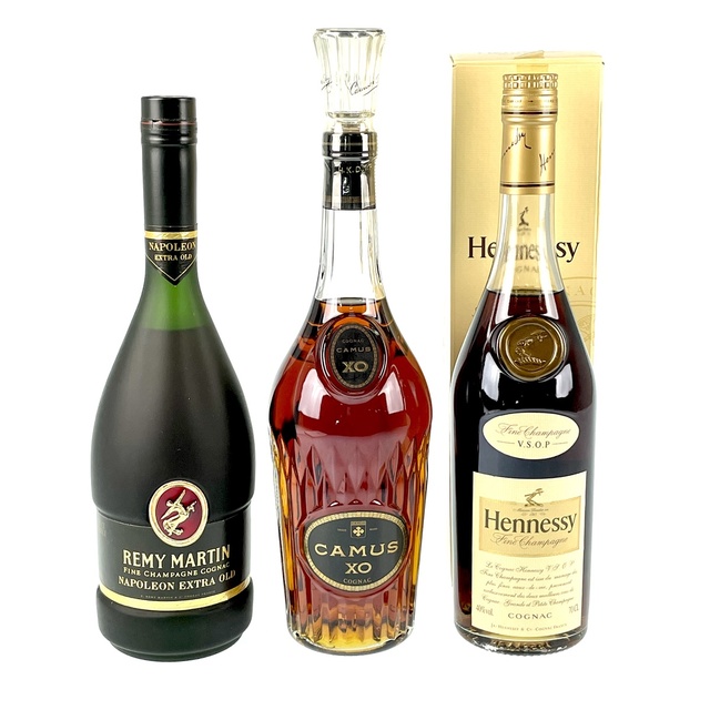 3本 REMY MARTIN CAMUS Hennessy コニャック食品/飲料/酒 - dariusgant.com