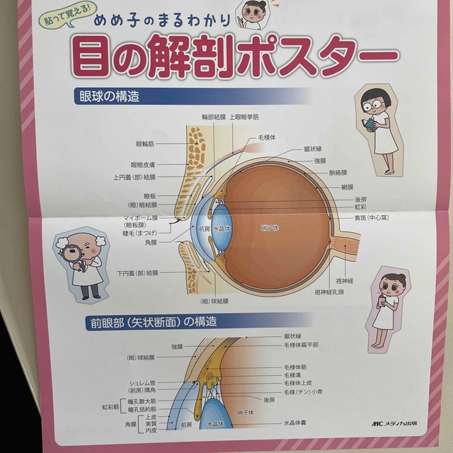 眼科ケア １９巻４号 エンタメ/ホビーの本(健康/医学)の商品写真