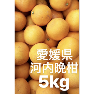 愛媛県産　宇和ゴールド　河内晩柑　5kg(フルーツ)