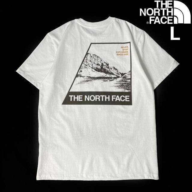 ノースフェイス 半袖 Tシャツ 1966 US限定 上質(L)白 180902
