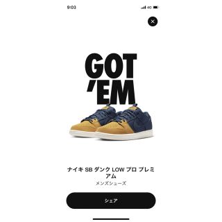 ナイキ(NIKE)のNike SB Dunk Low Desert Ochre 26.0(スニーカー)