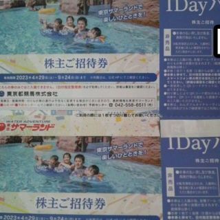 匿名配送★東京サマーランド1DAYパス8枚(青4枚&赤4枚)+競馬優待証(遊園地/テーマパーク)