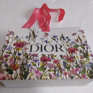 クリスチャンディオール(Christian Dior)のディオール　袋と緩衝材のみ(ショップ袋)