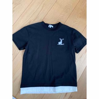 キャプテンスタッグ(CAPTAIN STAG)の半袖Tシャツ120(Tシャツ/カットソー)