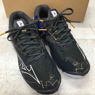 MIZUNO - ミズノ バレーボールシューズ 23.5cm 限定カラーの通販｜ラクマ