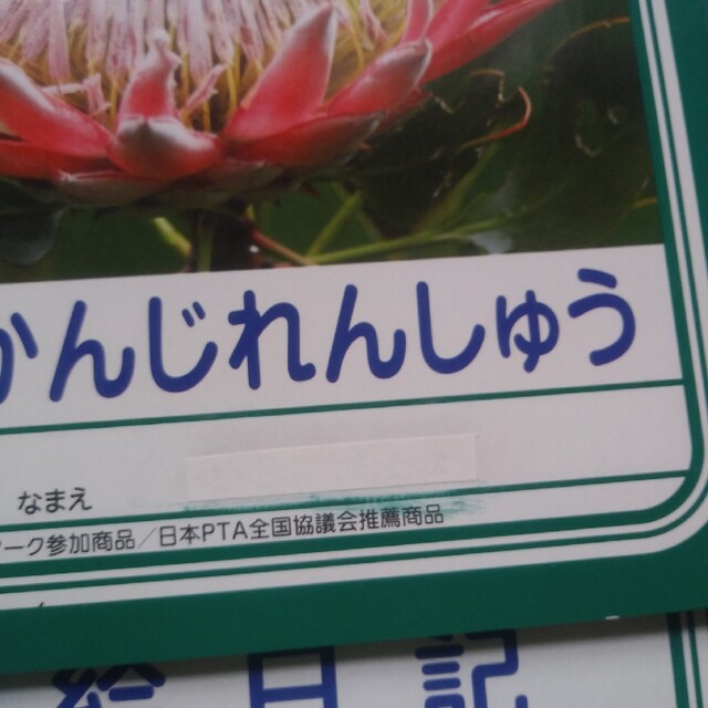 ショウワノート(ショウワノート)の3冊　ジャポニカ学習帳　絵日記　かんじれんしゅう インテリア/住まい/日用品の文房具(ノート/メモ帳/ふせん)の商品写真