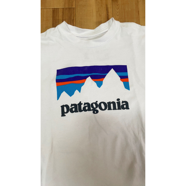 超激レア 新品 USA製 patagonia vote Tシャツ カットソー