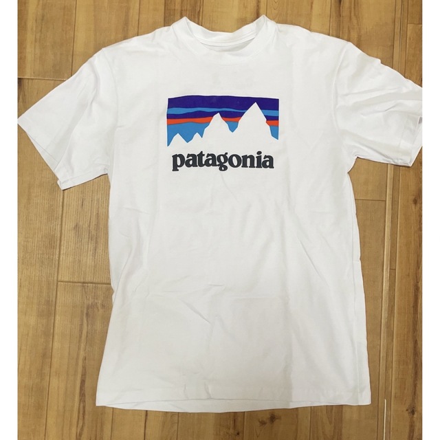 patagonia - patagonia パタゴニア 半袖Tシャツ レアの通販 by にこ's