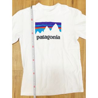 超激レア 新品 USA製 patagonia vote Tシャツ カットソー