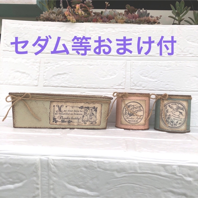 2022公式店舗 リメイク缶161 フラワー/ガーデン - atcenteramerica.com