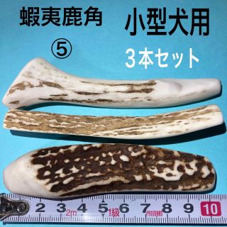 鹿の角　犬用品　小型犬用3本(犬)