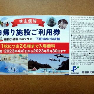 藤田観光株主優待☆日帰り施設ご利用券1枚☆箱根ユネッサン、下田水族館(水族館)