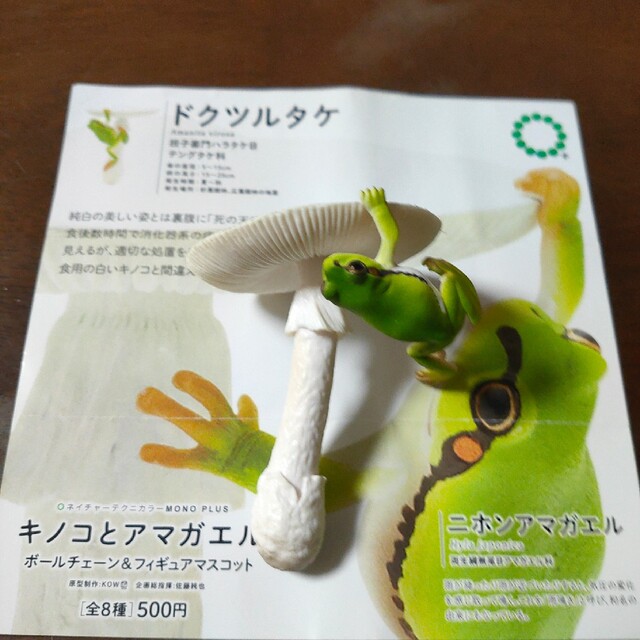 送料込み☆訳あり品☆キノコとアマガエル☆ドクツルタケ☆スタンドなし エンタメ/ホビーのフィギュア(その他)の商品写真