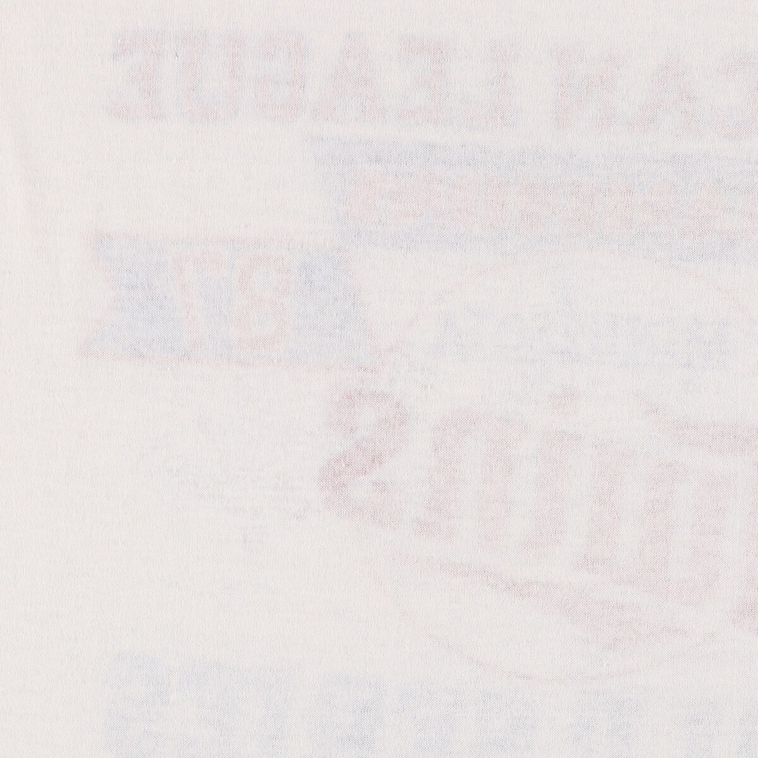 80年代 チャンピオン Champion トリコタグ MLB MINNESOTA TWINS ミネソタツインズ スポーツプリントTシャツ USA製 メンズL ヴィンテージ /eaa331568USA製年代