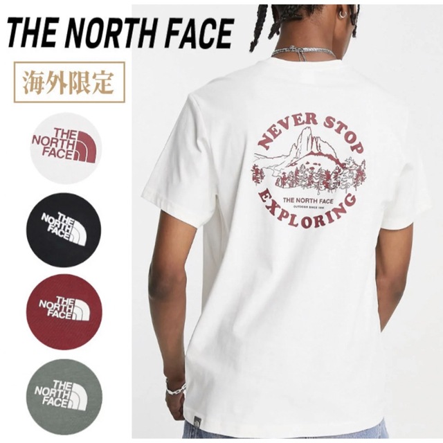 メンズ【海外限定】The North Face mountain white tee