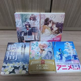 KAエスマ文庫小説まとめ売り(文学/小説)