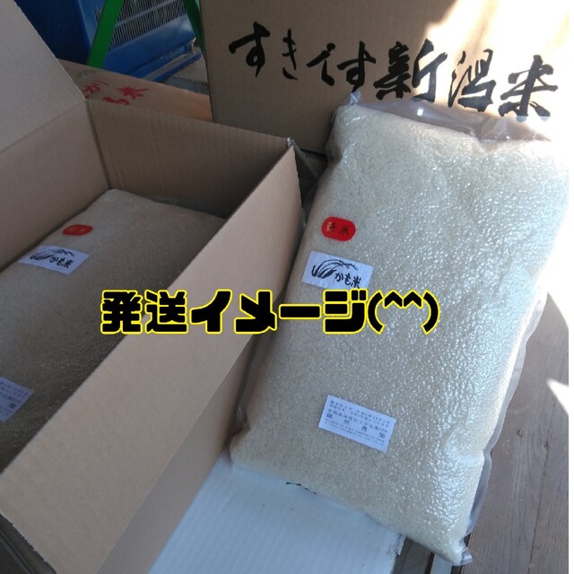 無農薬米新潟県産コシヒカリ玄米30k 国内発送 37%割引 toyotec.com