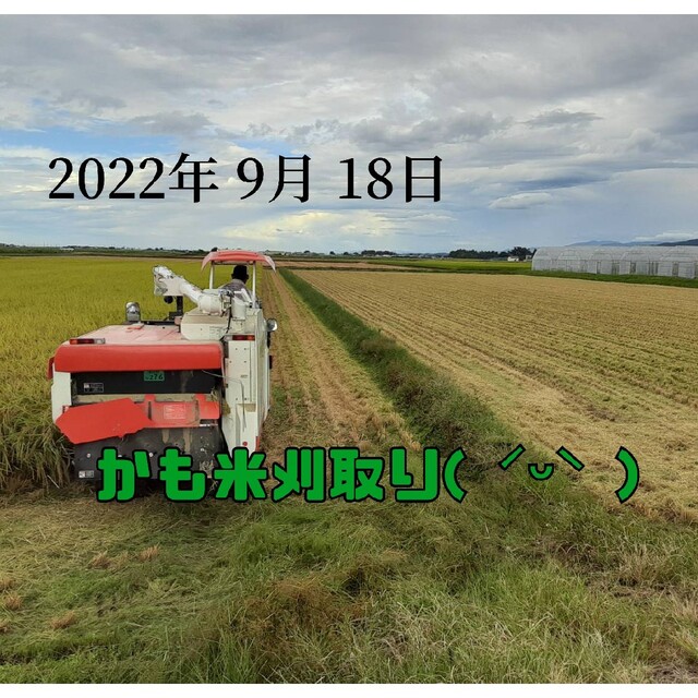 無農薬米新潟県産コシヒカリ玄米30k 国内発送 37%割引 toyotec.com
