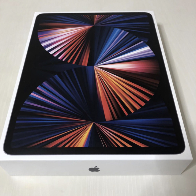 極美品 M1 iPad Pro 12.9インチ Wi-Fi 128GB 第5世代